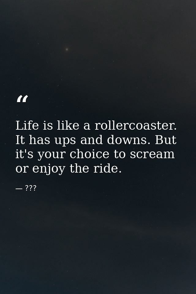 Life is like a rollercoaster. It has ups and downs. But it's your choice to scream or enjoy the ride. — ???