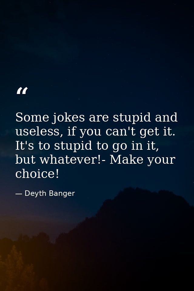 Some jokes are stupid and useless, if you can't get it. It's to stupid to go in it, but whatever!- Make your choice! — Deyth Banger