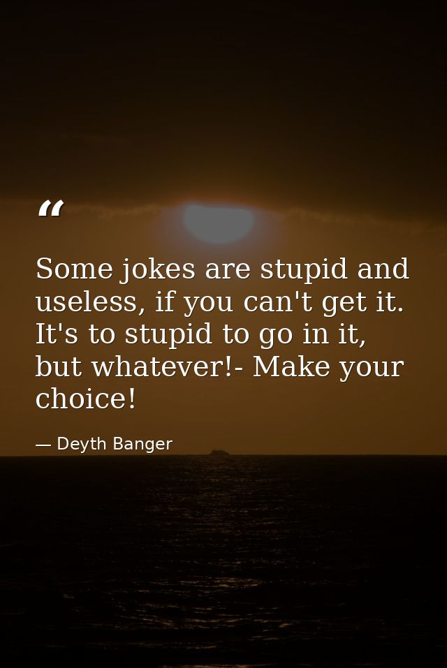 Some jokes are stupid and useless, if you can't get it. It's to stupid to go in it, but whatever!- Make your choice! — Deyth Banger
