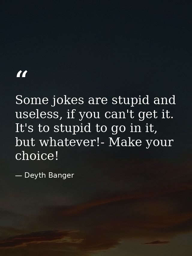 Some jokes are stupid and useless, if you can't get it. It's to stupid to go in it, but whatever!- Make your choice! — Deyth Banger