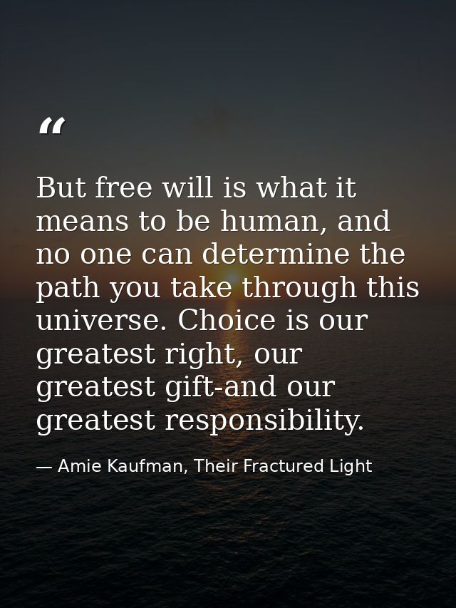 But free will is what it means to be human, and no one can determine the path you take through this universe. Choice is  — Amie Kaufman, Their Fractured Light