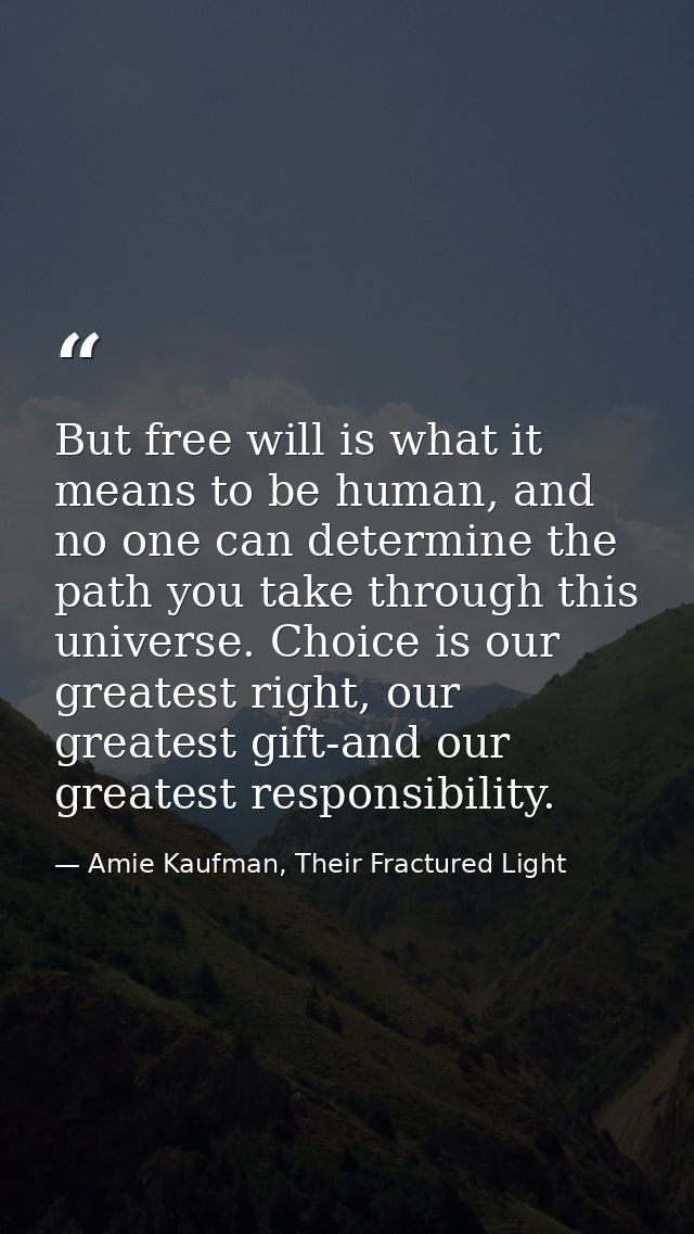 But free will is what it means to be human, and no one can determine the path you take through this universe. Choice is  — Amie Kaufman, Their Fractured Light