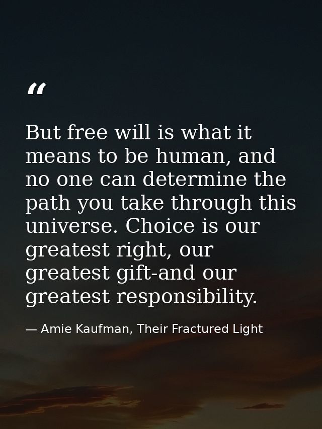 But free will is what it means to be human, and no one can determine the path you take through this universe. Choice is  — Amie Kaufman, Their Fractured Light