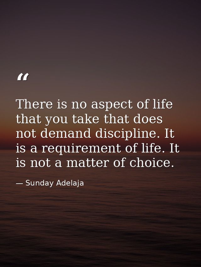 There is no aspect of life that you take that does not demand discipline. It is a requirement of life. It is not a matte — Sunday Adelaja