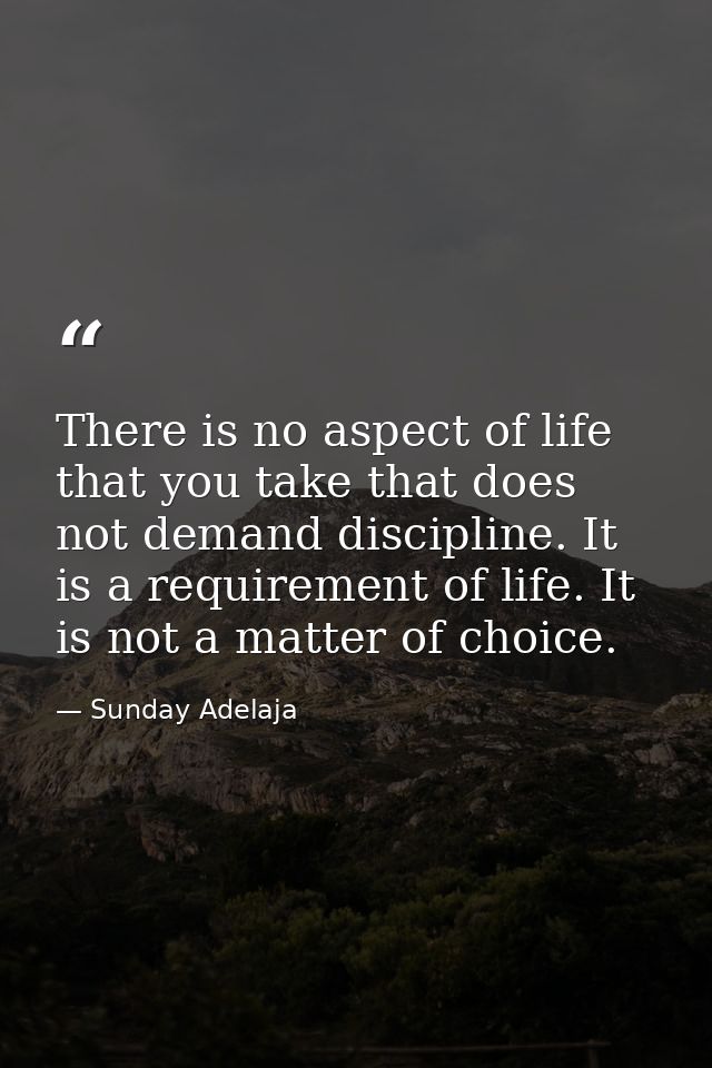 There is no aspect of life that you take that does not demand discipline. It is a requirement of life. It is not a matte — Sunday Adelaja