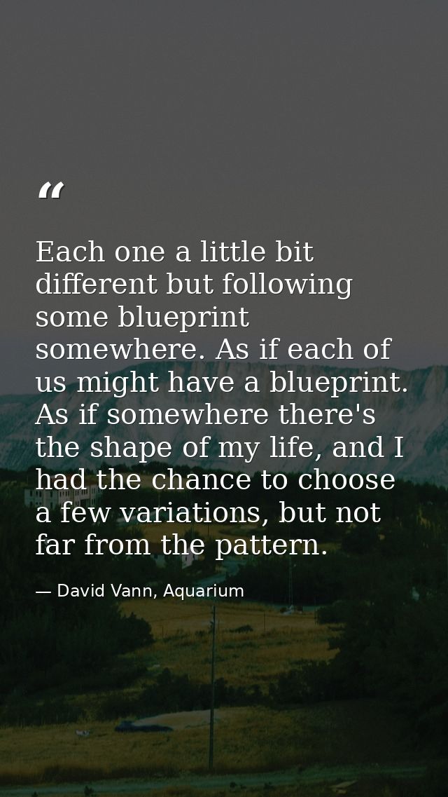 Each one a little bit different but following some blueprint somewhere. As if each of us might have a blueprint. As if s — David Vann, Aquarium