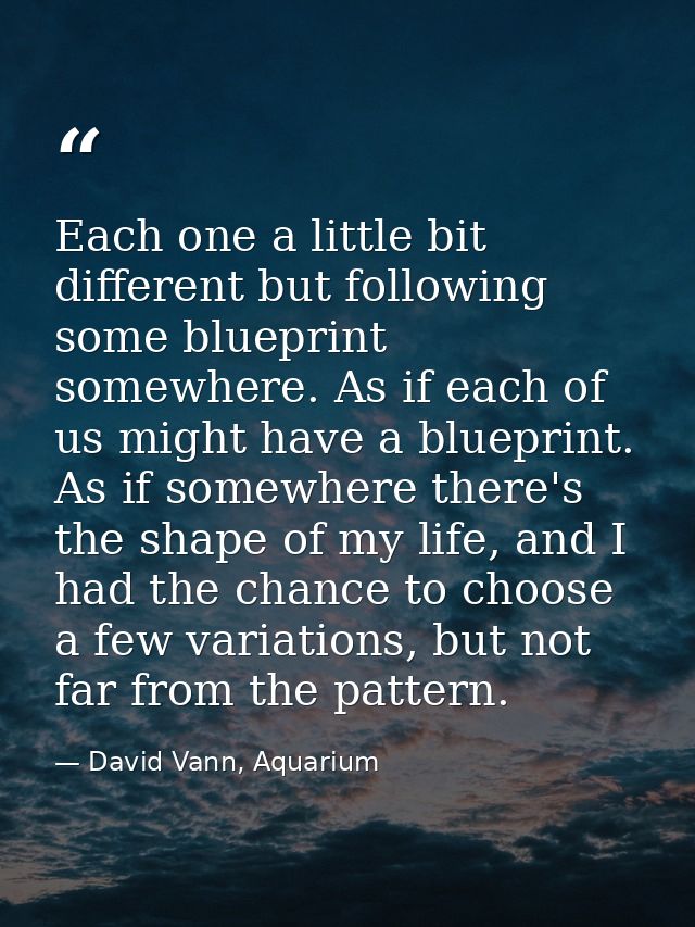 Each one a little bit different but following some blueprint somewhere. As if each of us might have a blueprint. As if s — David Vann, Aquarium