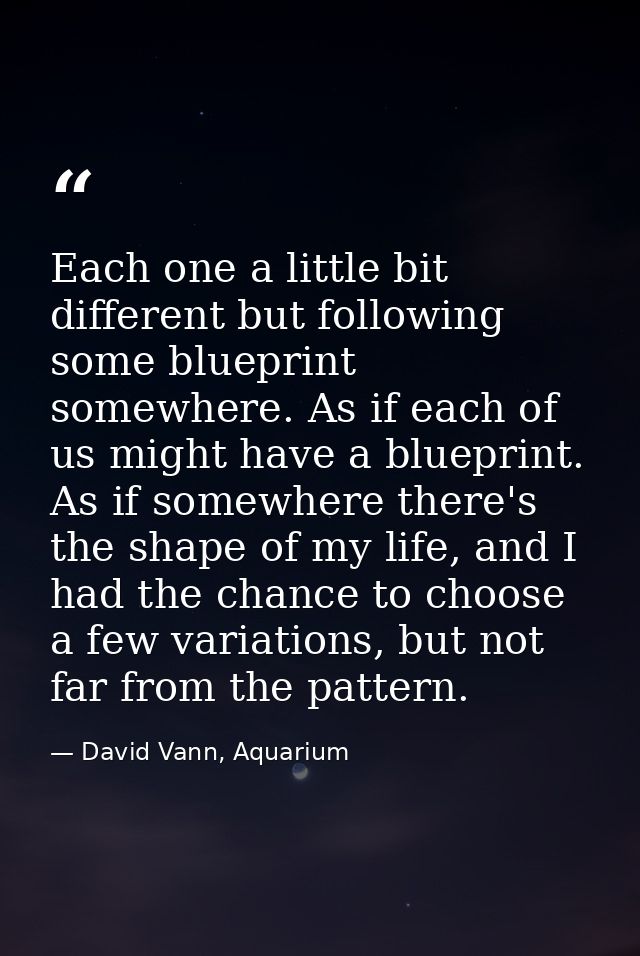 Each one a little bit different but following some blueprint somewhere. As if each of us might have a blueprint. As if s — David Vann, Aquarium