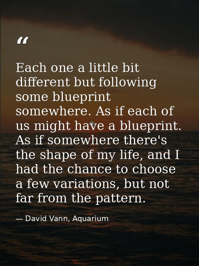 Each one a little bit different but following some blueprint somewhere. As if each of us might have a blueprint. As if s — David Vann, Aquarium