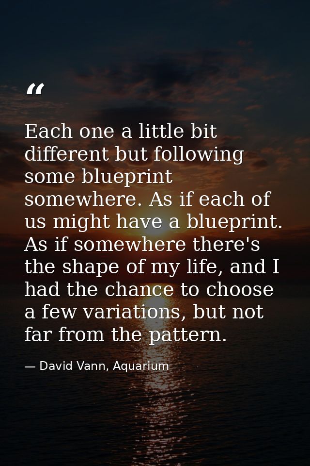 Each one a little bit different but following some blueprint somewhere. As if each of us might have a blueprint. As if s — David Vann, Aquarium