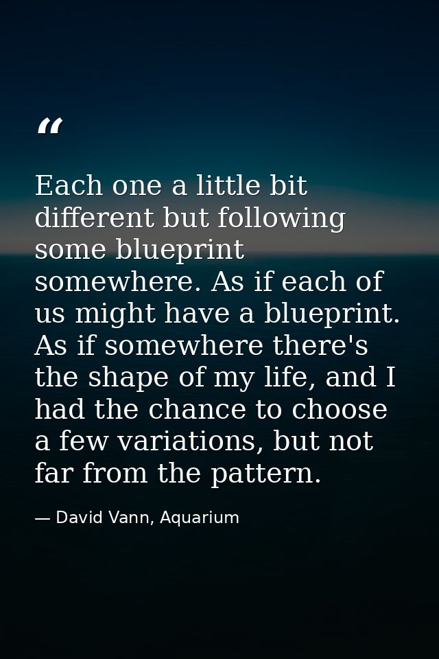 Each one a little bit different but following some blueprint somewhere. As if each of us might have a blueprint. As if s — David Vann, Aquarium