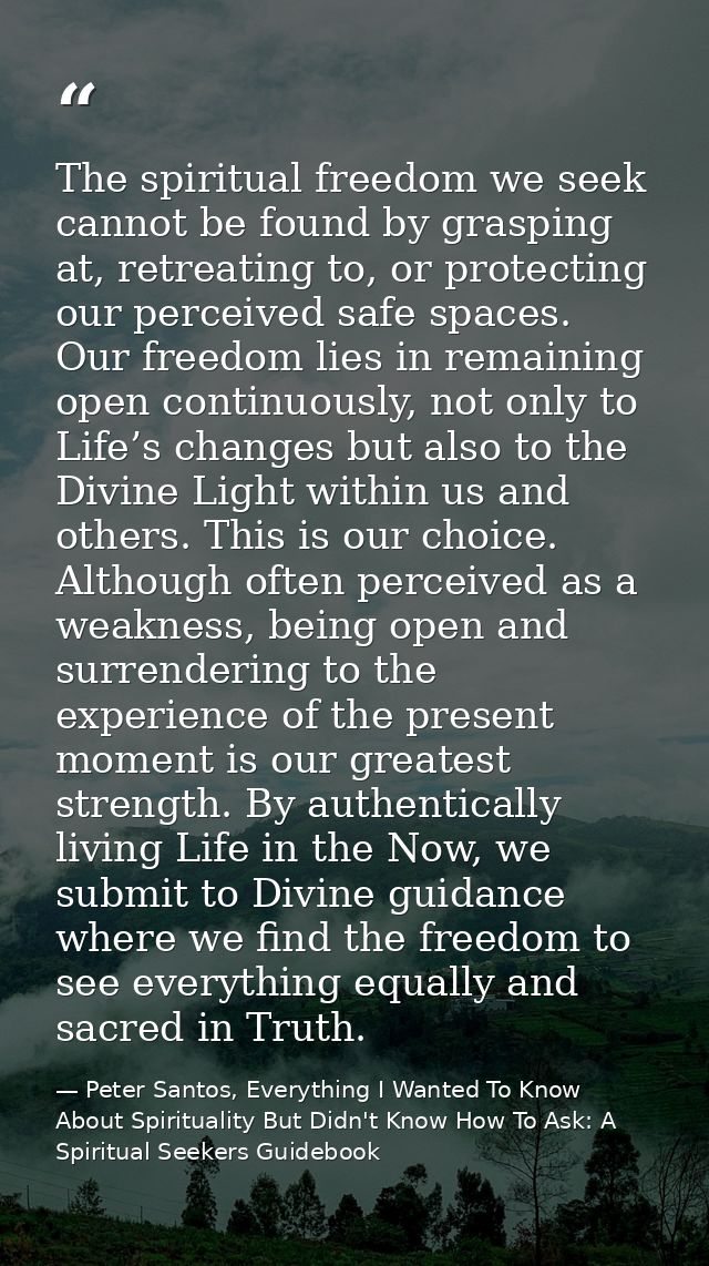 The spiritual freedom we seek cannot be found by grasping at, retreating to, or protecting our perceived safe spaces. Ou — Peter Santos, Everything I Wanted To Know About Spirituality But Didn't Know How To Ask: A Spiritual Seekers Guidebook