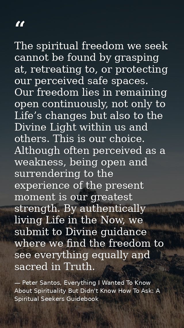 The spiritual freedom we seek cannot be found by grasping at, retreating to, or protecting our perceived safe spaces. Ou — Peter Santos, Everything I Wanted To Know About Spirituality But Didn't Know How To Ask: A Spiritual Seekers Guidebook