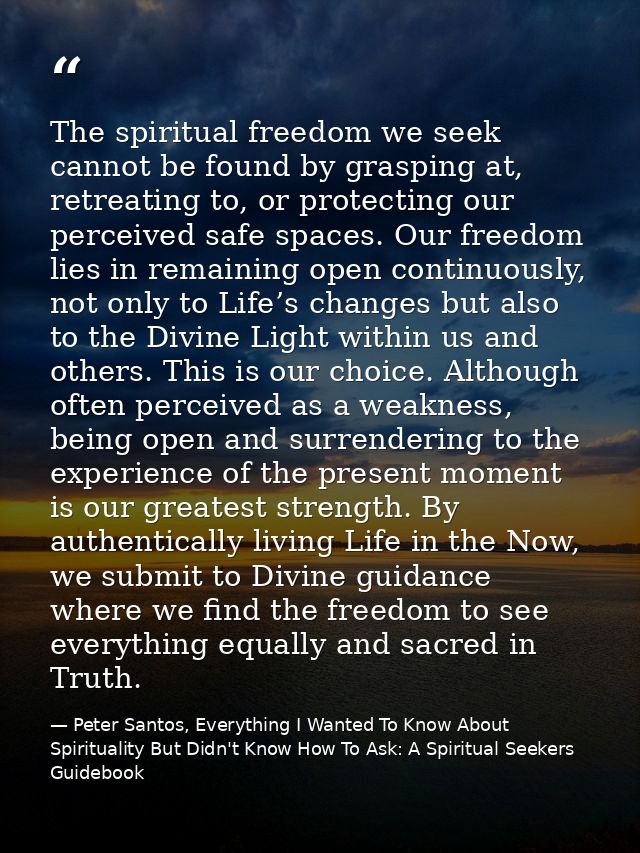 The spiritual freedom we seek cannot be found by grasping at, retreating to, or protecting our perceived safe spaces. Ou — Peter Santos, Everything I Wanted To Know About Spirituality But Didn't Know How To Ask: A Spiritual Seekers Guidebook