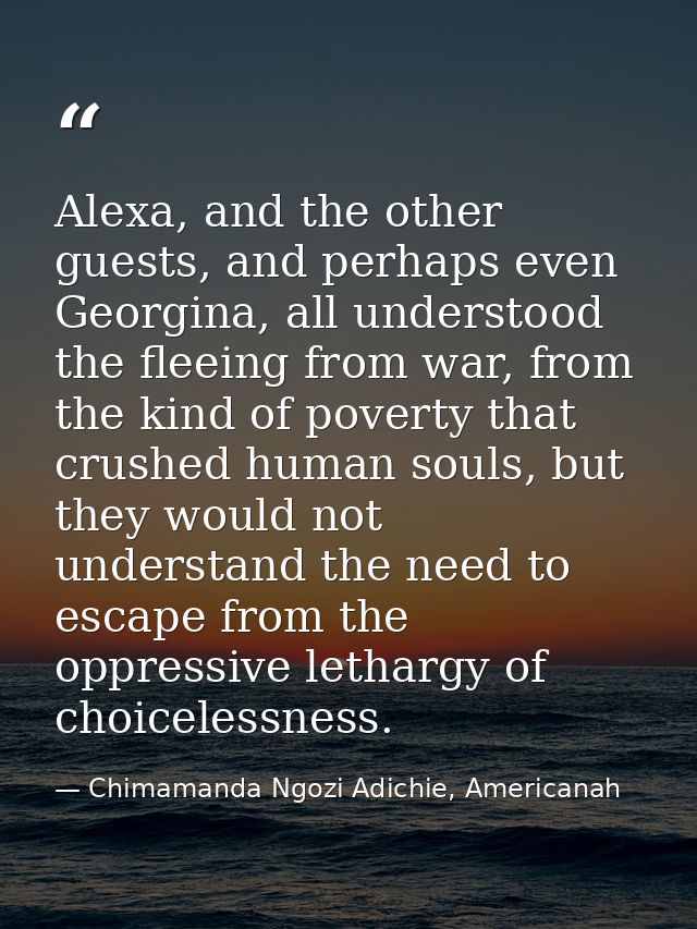 Alexa, and the other guests, and perhaps even Georgina, all understood the fleeing from war, from the kind of poverty th — Chimamanda Ngozi Adichie, Americanah