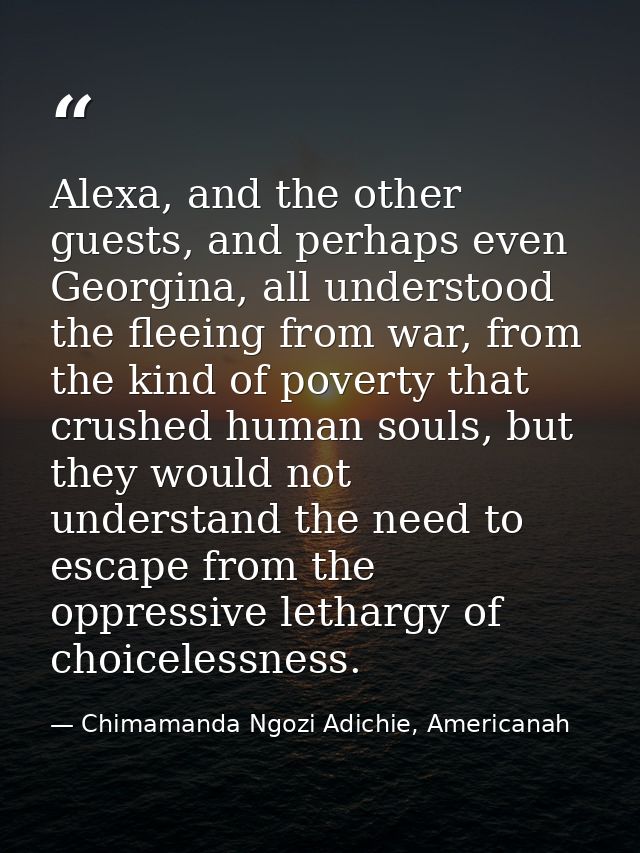 Alexa, and the other guests, and perhaps even Georgina, all understood the fleeing from war, from the kind of poverty th — Chimamanda Ngozi Adichie, Americanah