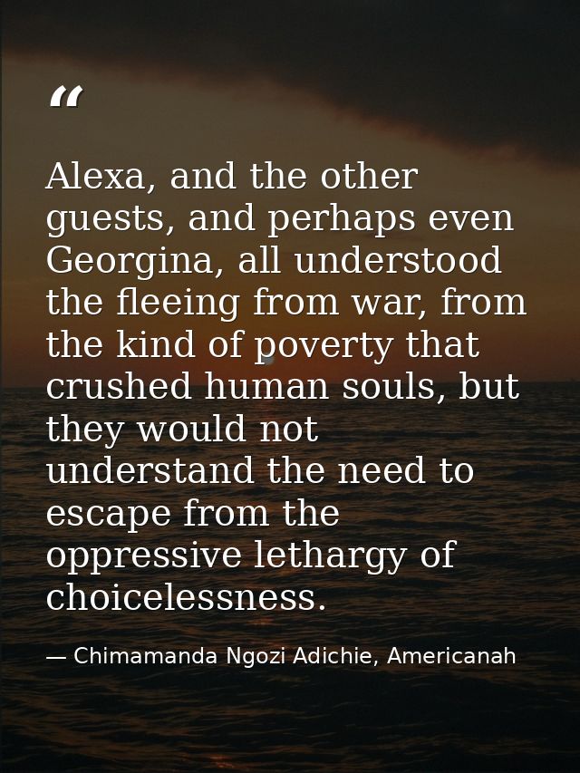 Alexa, and the other guests, and perhaps even Georgina, all understood the fleeing from war, from the kind of poverty th — Chimamanda Ngozi Adichie, Americanah
