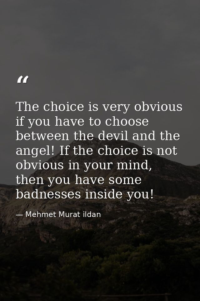 The choice is very obvious if you have to choose between the devil and the angel! If the choice is not obvious in your m — Mehmet Murat ildan