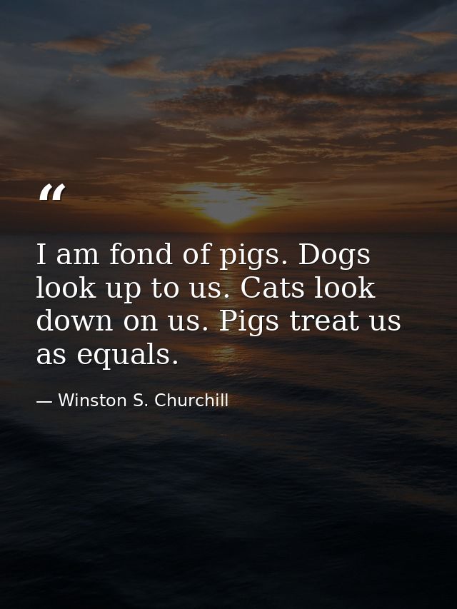 I am fond of pigs. Dogs look up to us. Cats look down on us. Pigs treat us as equals. — Winston S. Churchill
