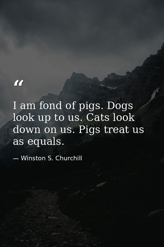 I am fond of pigs. Dogs look up to us. Cats look down on us. Pigs treat us as equals. — Winston S. Churchill