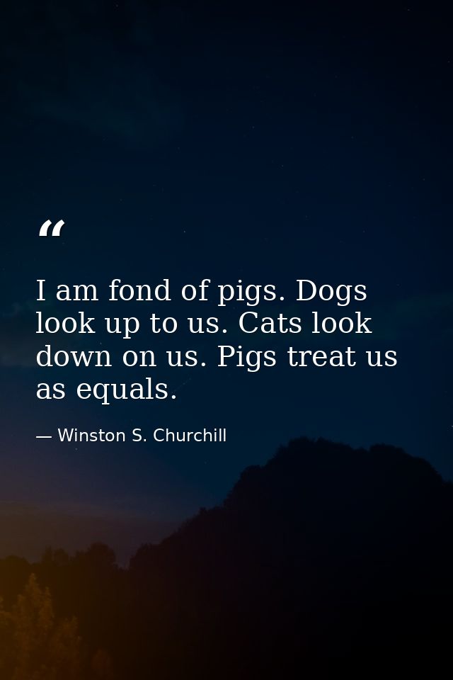 I am fond of pigs. Dogs look up to us. Cats look down on us. Pigs treat us as equals. — Winston S. Churchill
