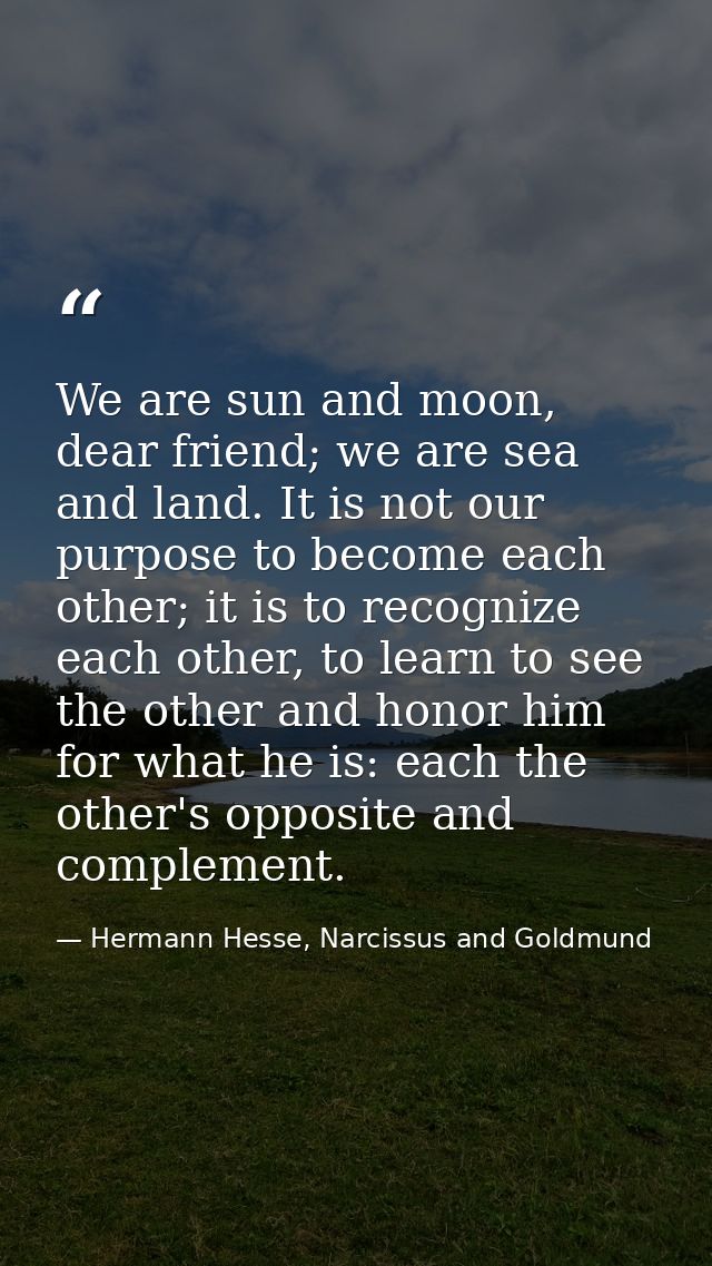 We are sun and moon, dear friend; we are sea and land. It is not our purpose to become each other; it is to recognize ea — Hermann Hesse, Narcissus and Goldmund