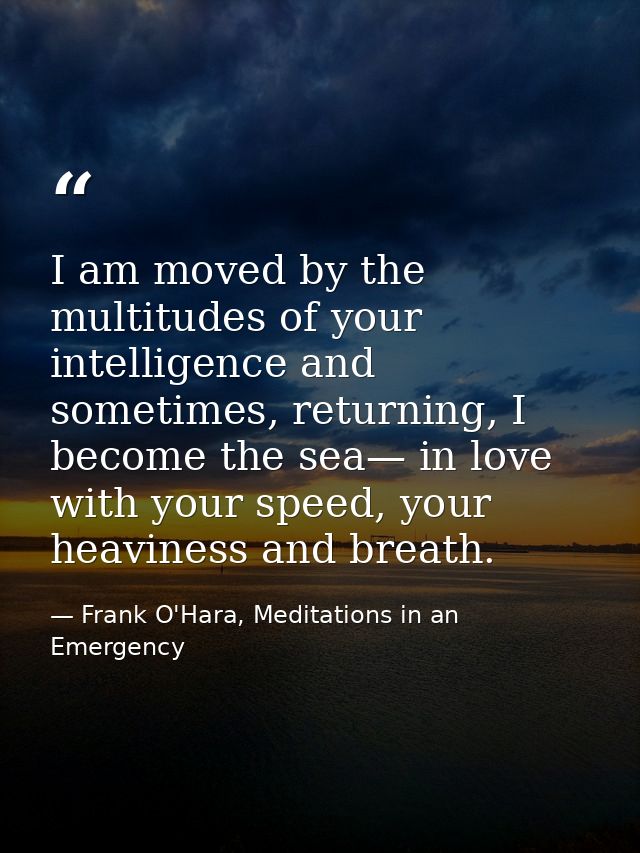 I am moved by the multitudes of your intelligence and sometimes, returning, I become the sea— in love with your speed, y — Frank O'Hara, Meditations in an Emergency