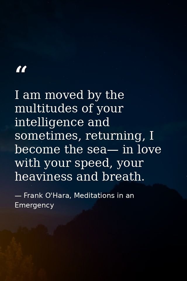 I am moved by the multitudes of your intelligence and sometimes, returning, I become the sea— in love with your speed, y — Frank O'Hara, Meditations in an Emergency