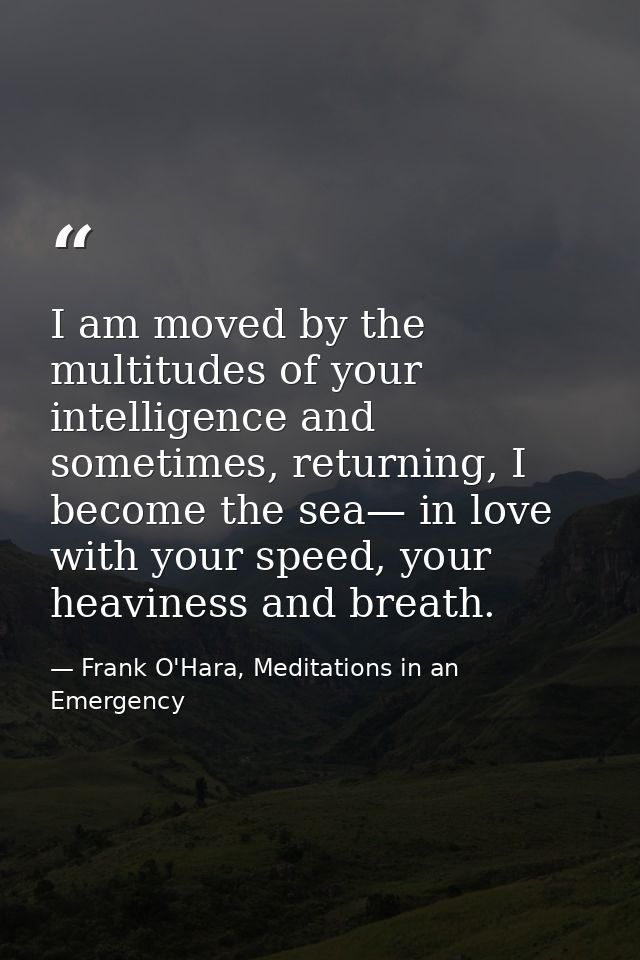 I am moved by the multitudes of your intelligence and sometimes, returning, I become the sea— in love with your speed, y — Frank O'Hara, Meditations in an Emergency