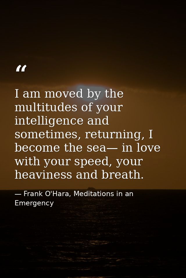 I am moved by the multitudes of your intelligence and sometimes, returning, I become the sea— in love with your speed, y — Frank O'Hara, Meditations in an Emergency