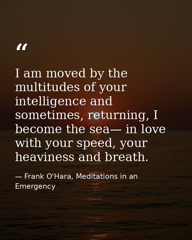 I am moved by the multitudes of your intelligence and sometimes, returning, I become the sea— in love with your speed, y — Frank O'Hara, Meditations in an Emergency