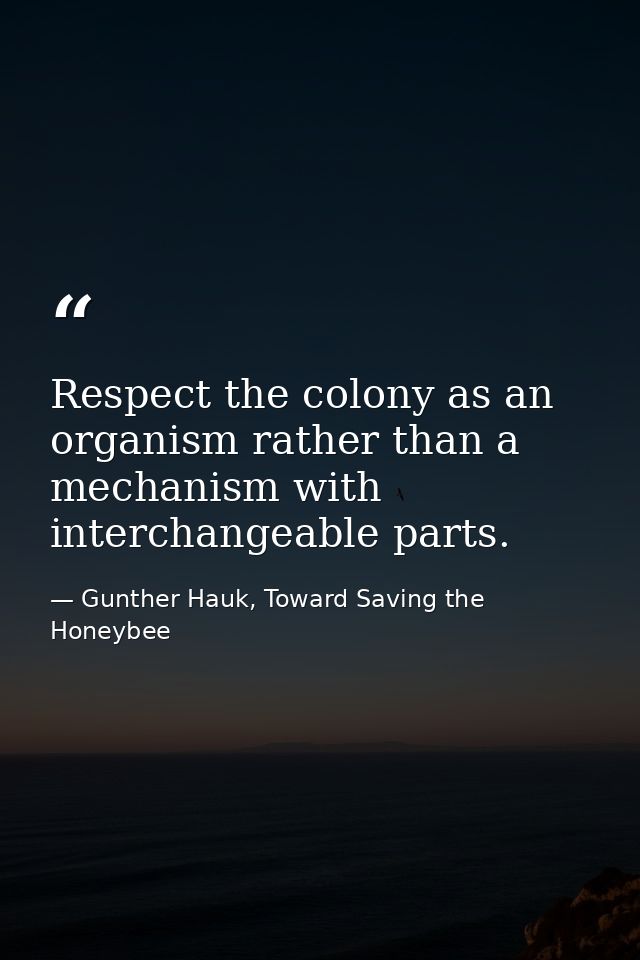 Respect the colony as an organism rather than a mechanism with interchangeable parts. — Gunther Hauk, Toward Saving the Honeybee