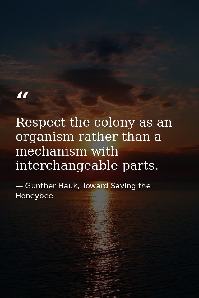 Respect the colony as an organism rather than a mechanism with interchangeable parts. — Gunther Hauk, Toward Saving the Honeybee