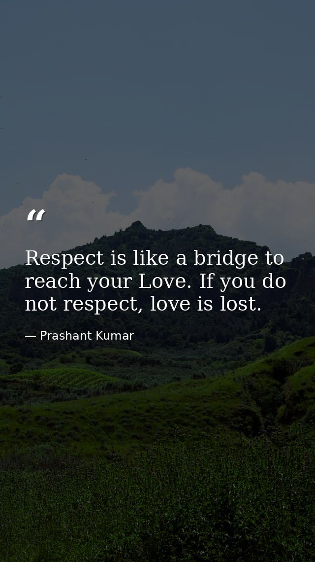 Respect is like a bridge to reach your Love. If you do not respect, love is lost. — Prashant Kumar