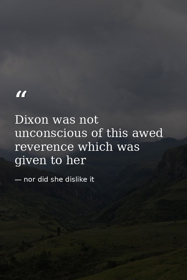 Dixon was not unconscious of this awed reverence which was given to her — nor did she dislike it
