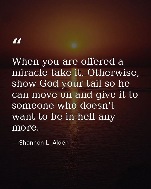 When you are offered a miracle take it. Otherwise, show God your tail so he can move on and give it to someone who doesn — Shannon L. Alder