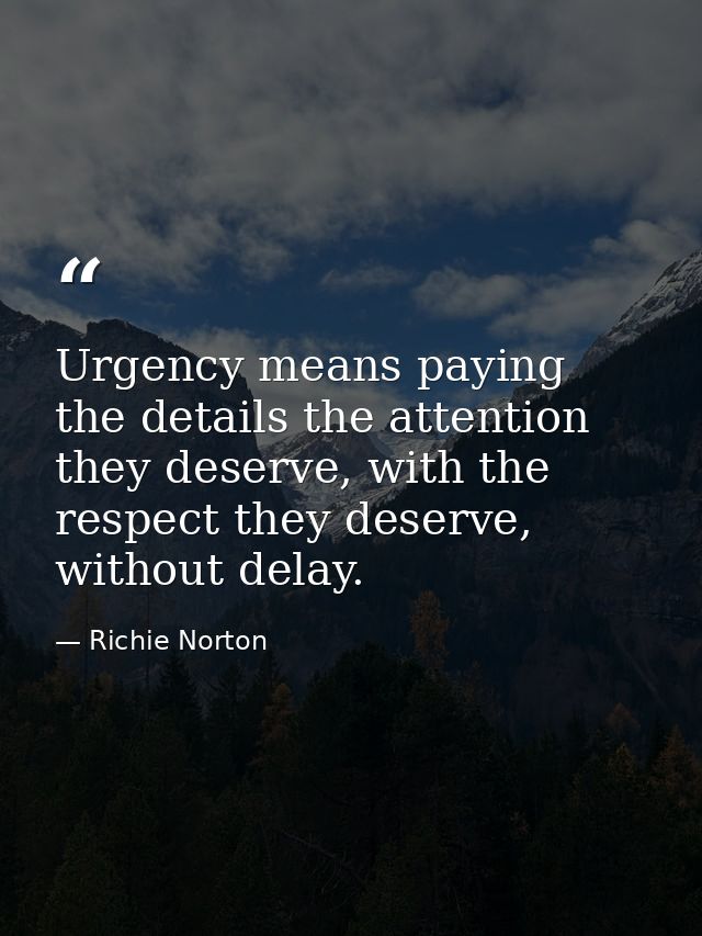 Urgency means paying the details the attention they deserve, with the respect they deserve, without delay. — Richie Norton