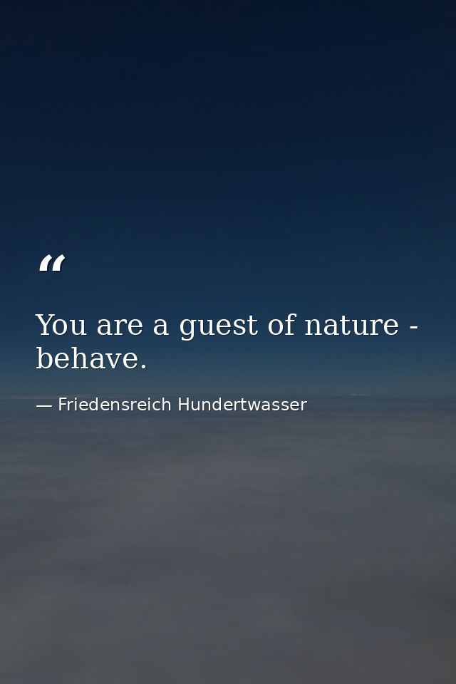 You are a guest of nature - behave. — Friedensreich Hundertwasser