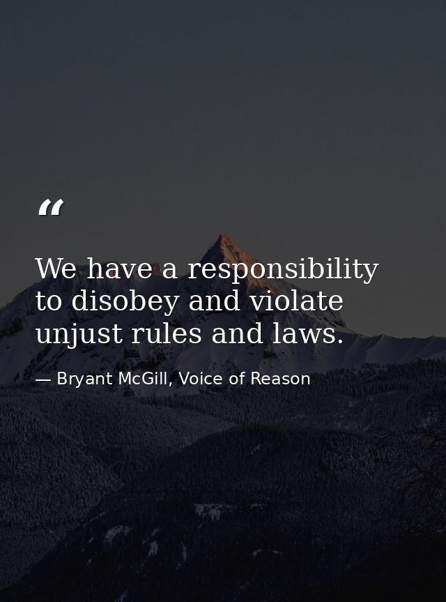 We have a responsibility to disobey and violate unjust rules and laws. — Bryant McGill, Voice of Reason