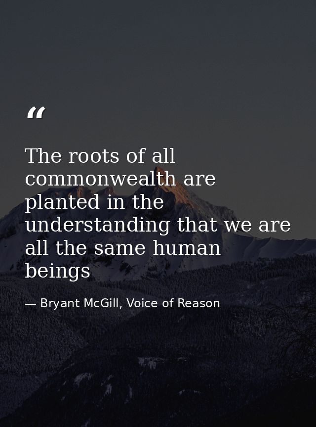 The roots of all commonwealth are planted in the understanding that we are all the same human beings — Bryant McGill, Voice of Reason