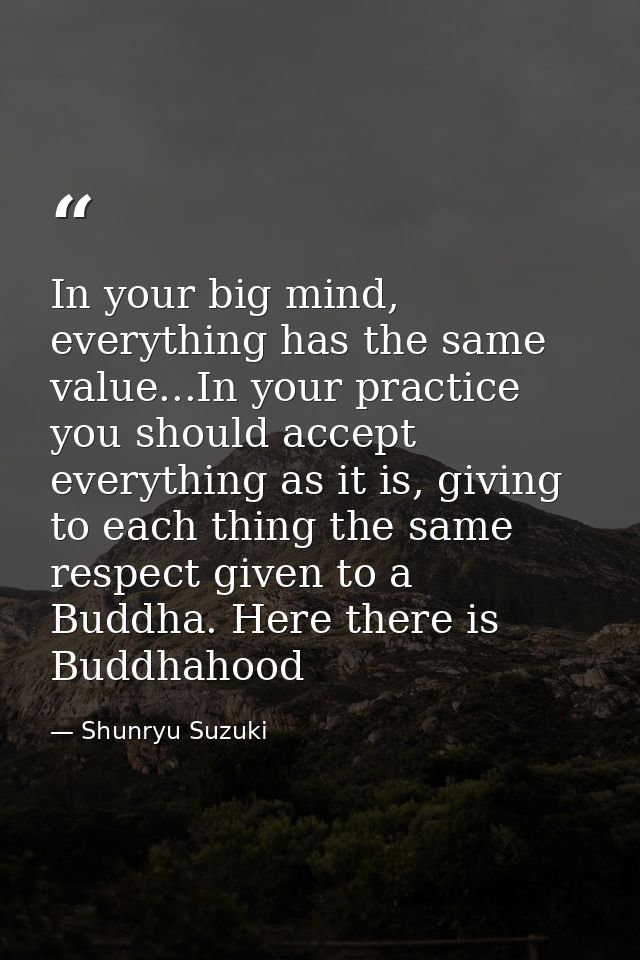 In your big mind, everything has the same value...In your practice you should accept everything as it is, giving to each — Shunryu Suzuki