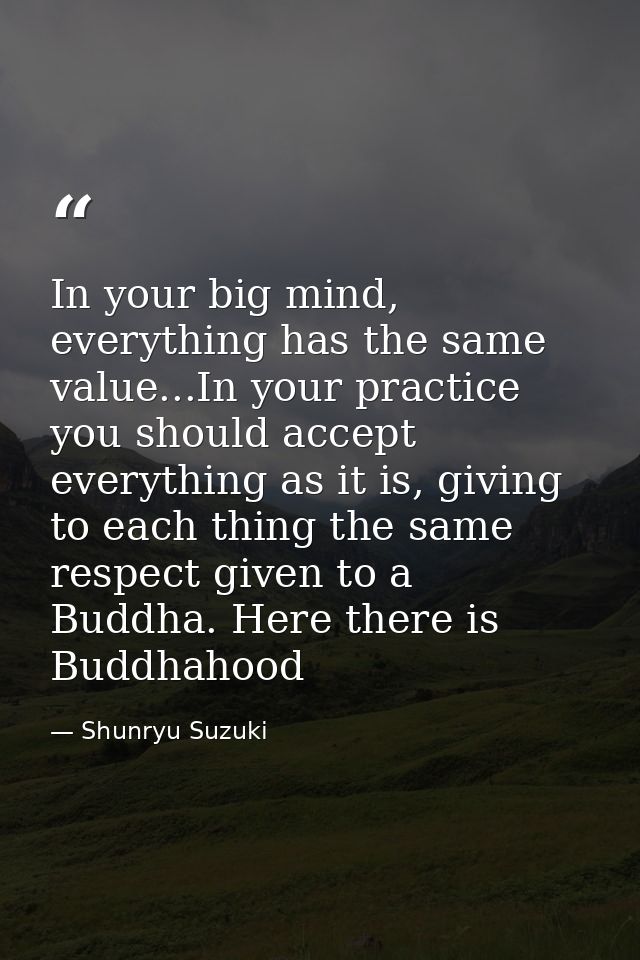 In your big mind, everything has the same value...In your practice you should accept everything as it is, giving to each — Shunryu Suzuki