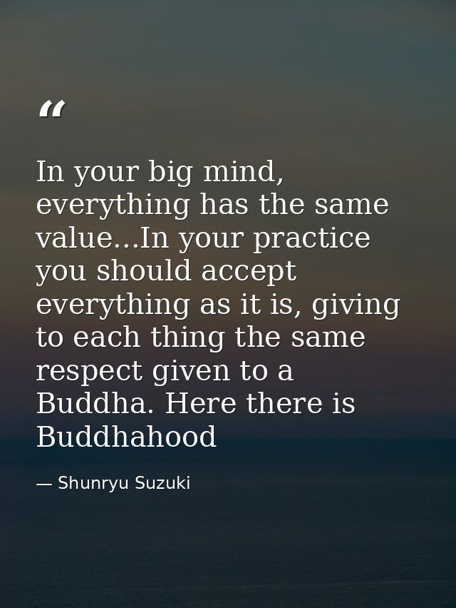 In your big mind, everything has the same value...In your practice you should accept everything as it is, giving to each — Shunryu Suzuki