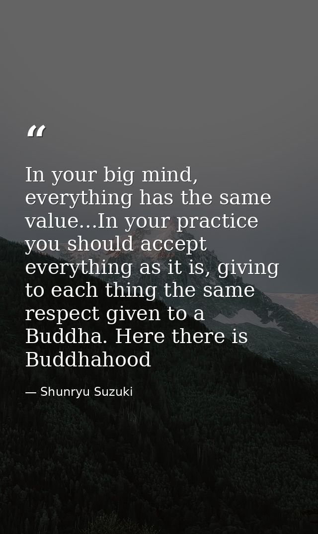 In your big mind, everything has the same value...In your practice you should accept everything as it is, giving to each — Shunryu Suzuki