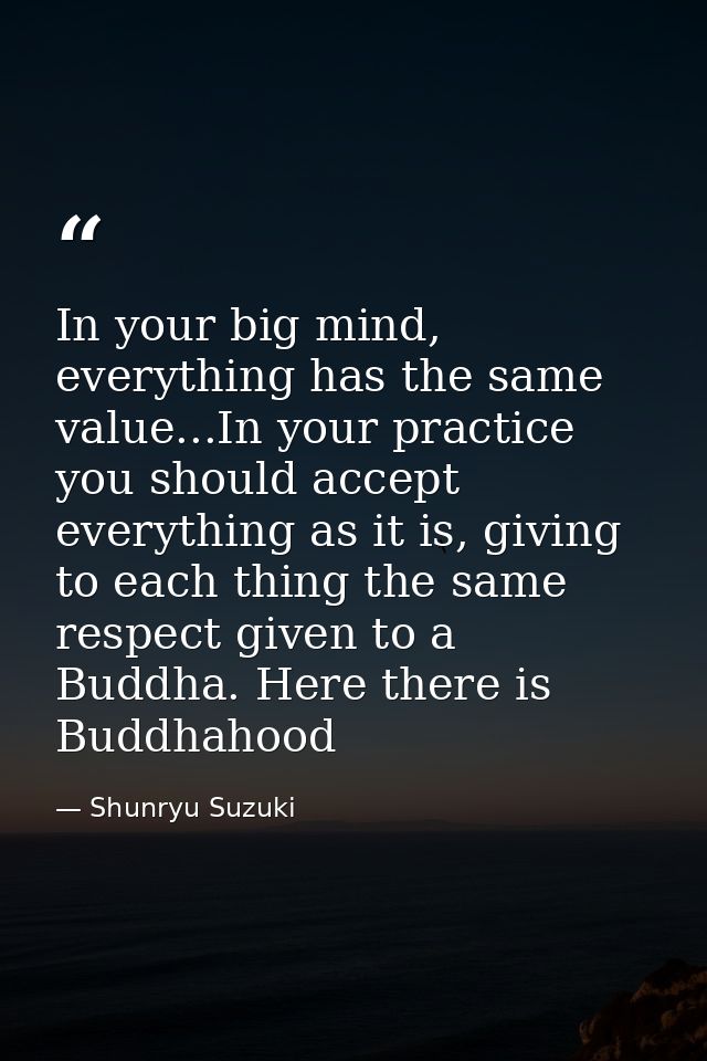 In your big mind, everything has the same value...In your practice you should accept everything as it is, giving to each — Shunryu Suzuki
