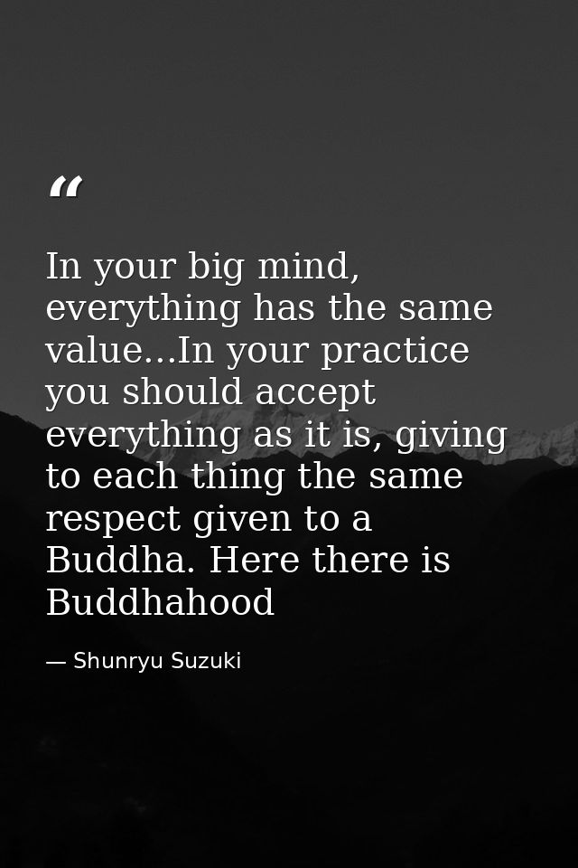 In your big mind, everything has the same value...In your practice you should accept everything as it is, giving to each — Shunryu Suzuki
