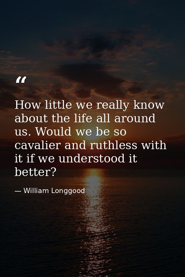 How little we really know about the life all around us. Would we be so cavalier and ruthless with it if we understood it — William Longgood