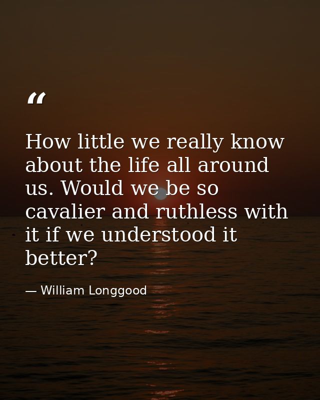 How little we really know about the life all around us. Would we be so cavalier and ruthless with it if we understood it — William Longgood