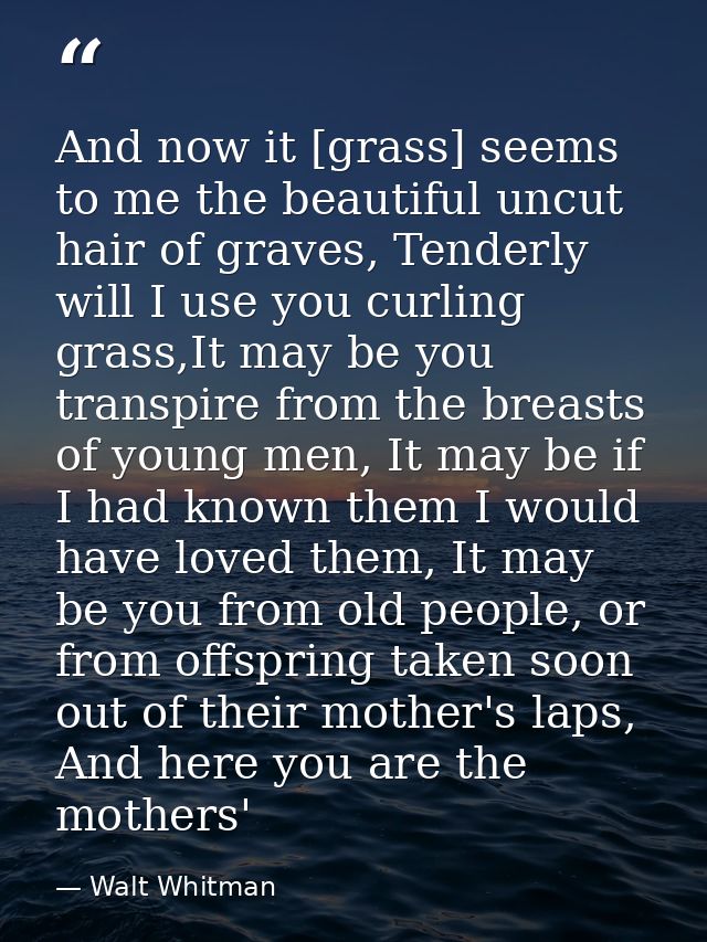 And now it [grass] seems to me the beautiful uncut hair of graves, Tenderly will I use you curling grass,It may be you t — Walt Whitman