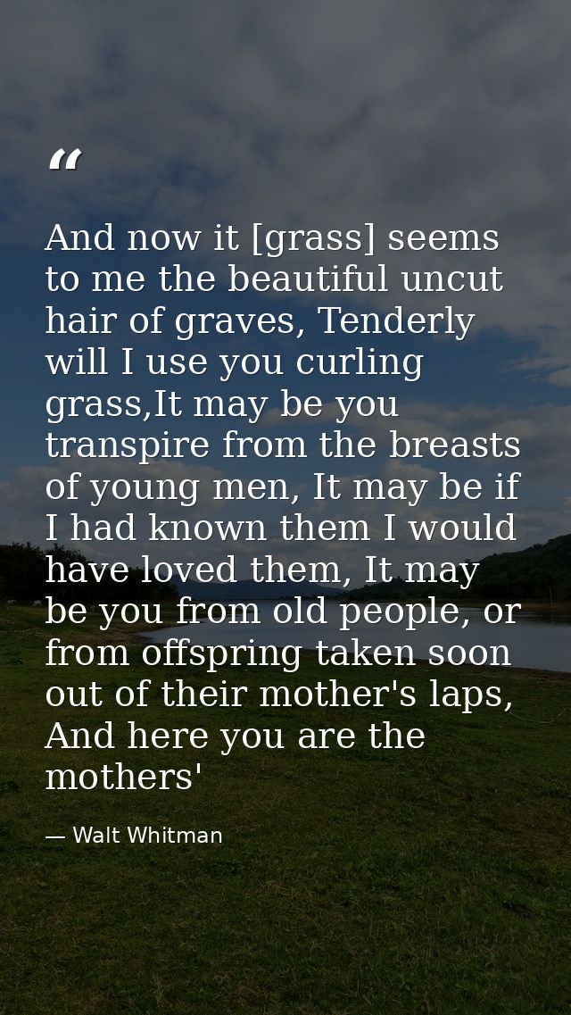 And now it [grass] seems to me the beautiful uncut hair of graves, Tenderly will I use you curling grass,It may be you t — Walt Whitman